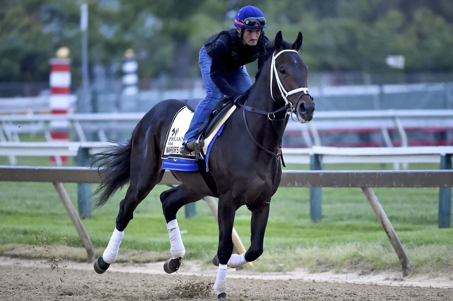 Warrior's Charge exercises at Preakness