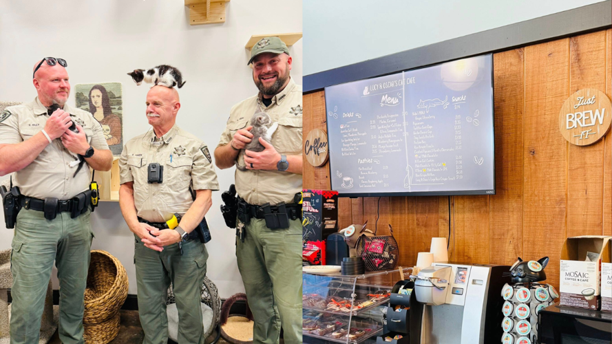 IMAGES | Deputy Rees Visits Cat Café with Rescued Kittens