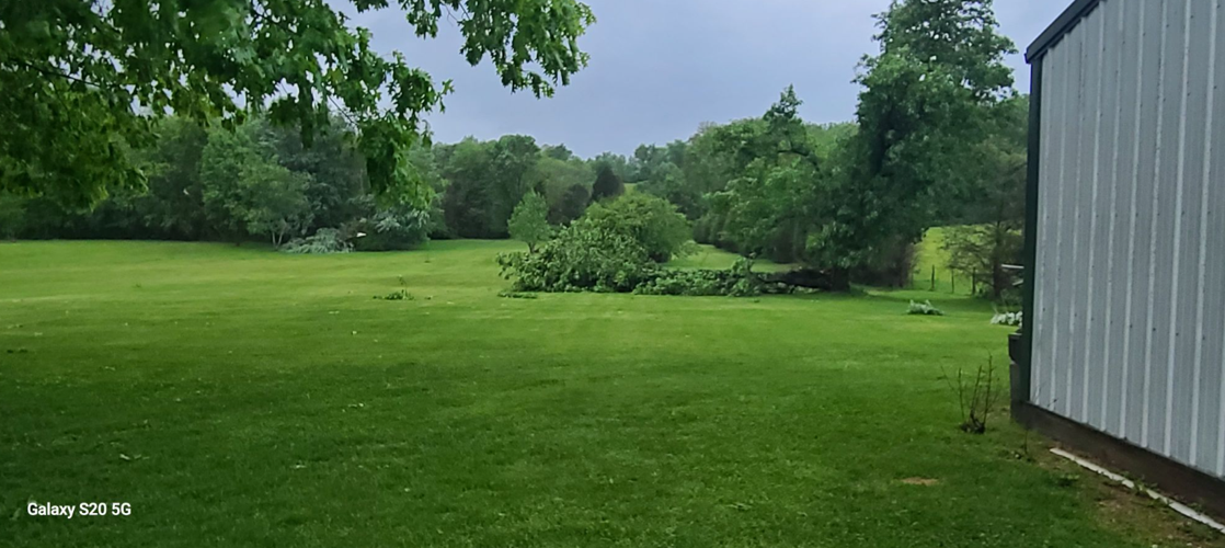 Tree down Floyd Knobs