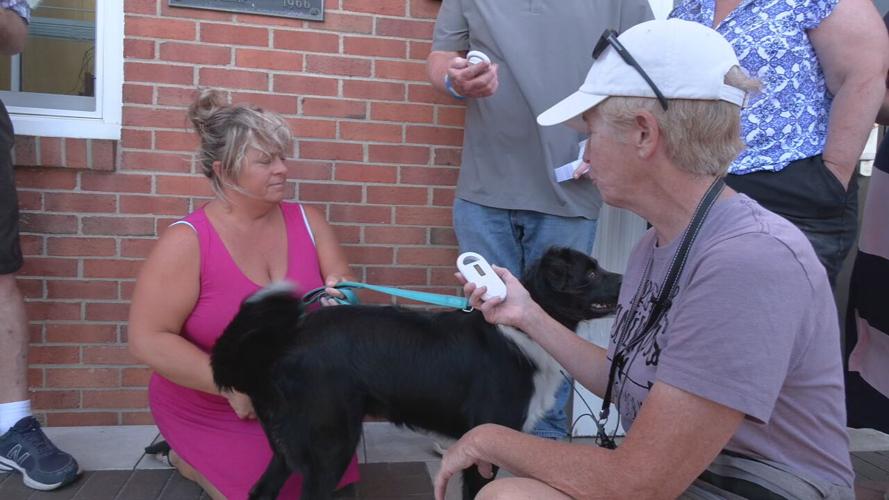 Jeffersontown pet microchip scanners 7-1-24