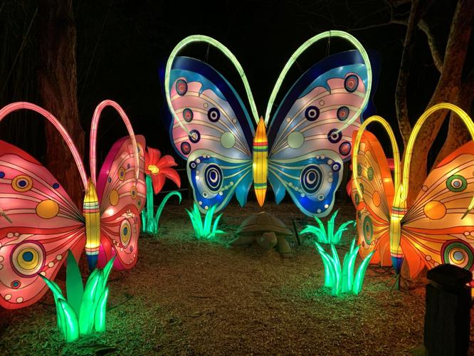 Wild Lights at Louisville Zoo