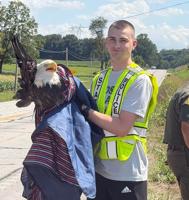 Indiana State Police trooper helps rescue bald eagle hit by vehicle in Washington County