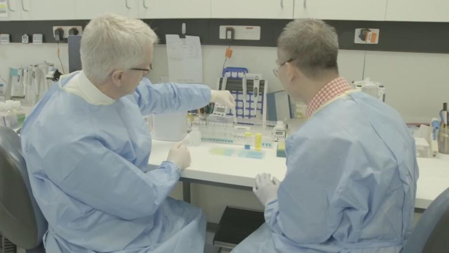 U OF L CO-IMMUNITY RESEARCH - COVID-19 FILE  (1).jpg