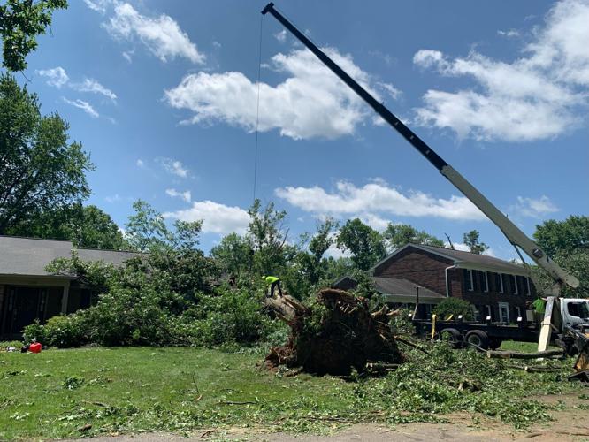 STORM DAMAGE - Brownsboro Vista Drive & Murray Hill Pike - 6-26-2023 3.jpg