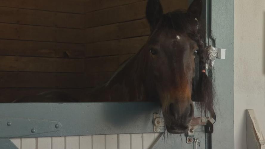 Kentucky Horse Park, campgrounds reopen (LEX 18)