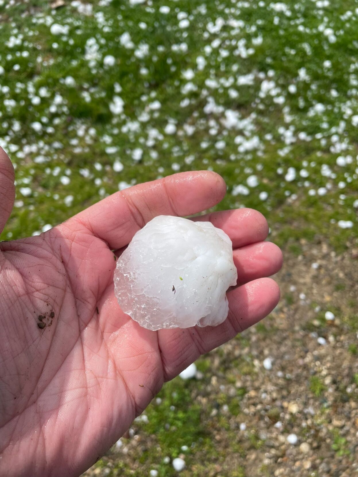 Hail from storm in Jefferson and Switzerland counties in Indiana from ISP Sgt. Wheeles 3-14-24 (2).jpg