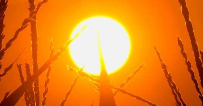 Europe’s Scorching Summer