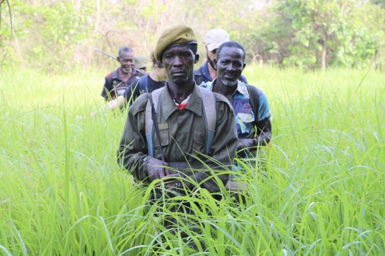 south sudan wildlife ap.jpeg