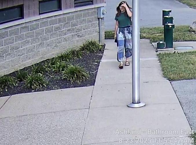Ashland Park Theft Suspect