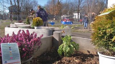 bLOUsky project 2019