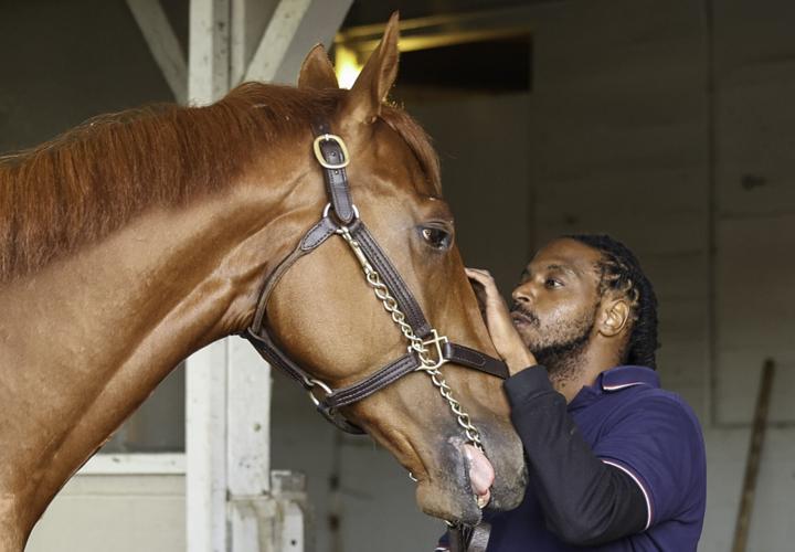 Rich Strike and groom