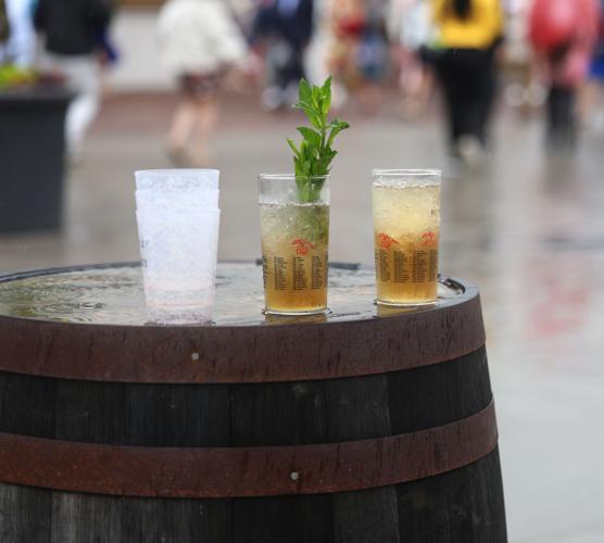 Mint julleps at Churchill Downs.JPG