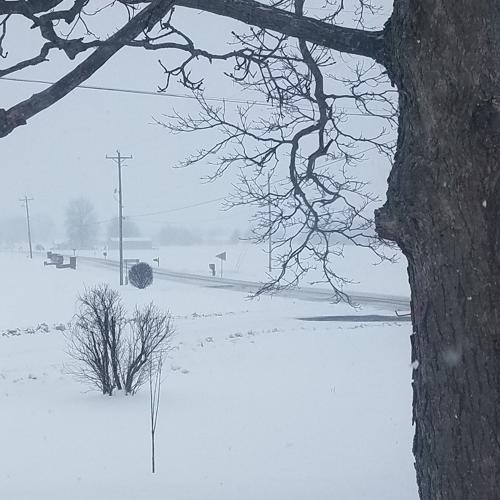 SNOW - MADISON INDIAN - RANDY DENNING - 2-15-2021.jpg