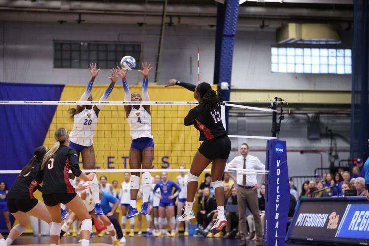 Louisville-Pittsburgh volleyball