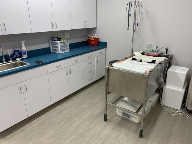 ALLEY CAT ADVOCATES - NEW BUILDING 2-13-2020  (9).jpg