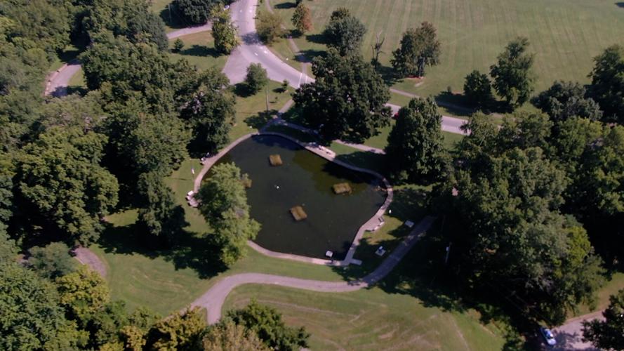Shawnee Park Jellyfish 1.jpg