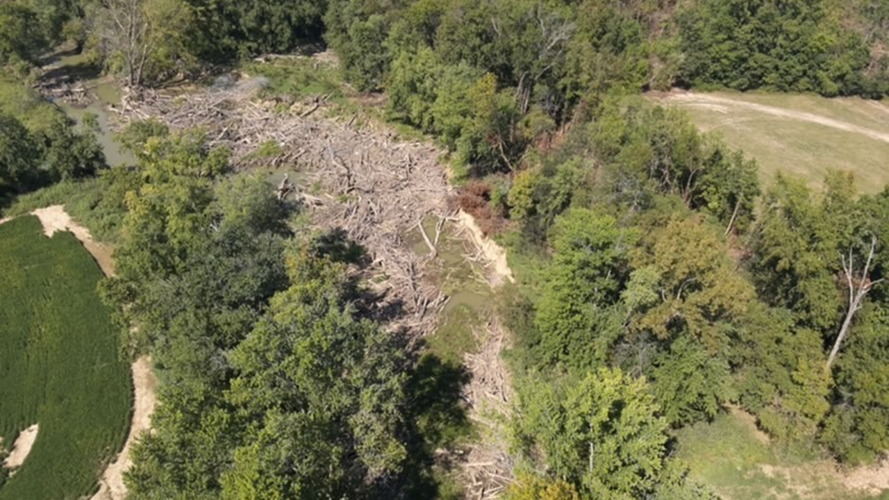 Flood Debris near Rolling Fork River in Nelson County, Kentucky