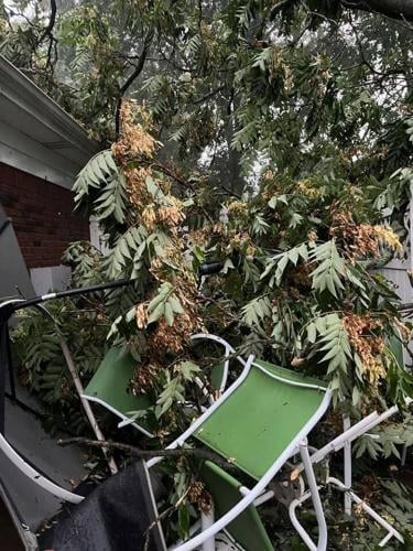 Rebecca Shore - storm damage - Aug. 25, 2023.jpg