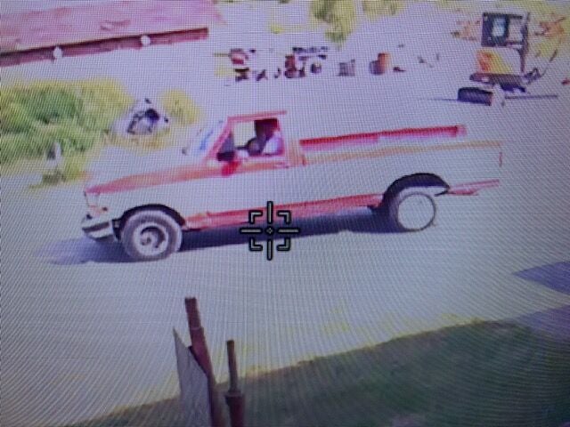 Mums stolen from Fairdale High School. Image from Fairdale High School social media.