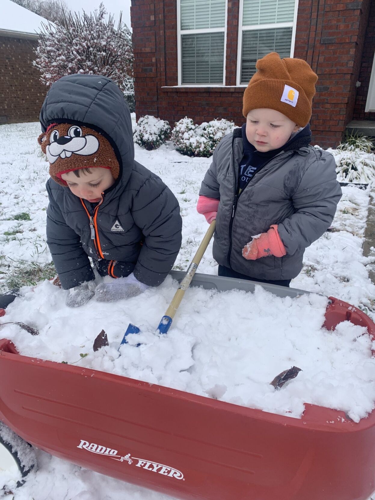 Bardstown Snow Kids.jpg