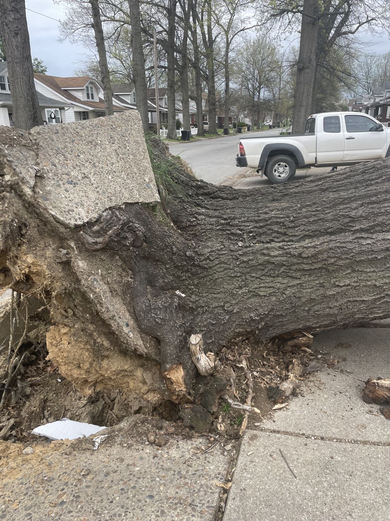 STORM DAMAGE - LOUISVILLE - CENTRAL AVENUE 4-6-2023 (3).jpg
