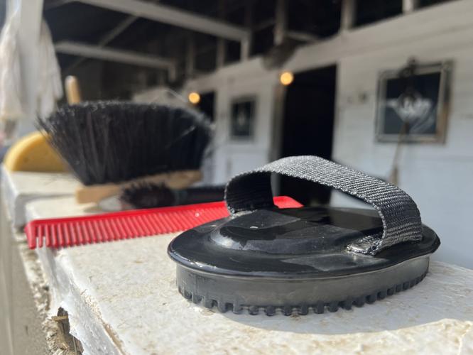 Horse groom supplies