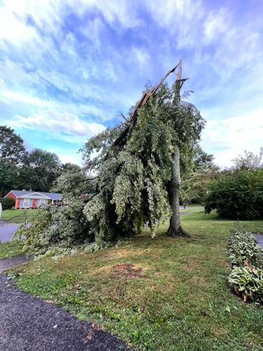 Anna Klein - Jtown storm damage - Aug. 25, 2023.jpg