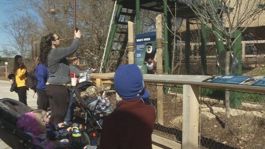 Crowd of people at Louisville Zoo