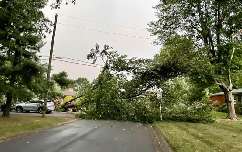 David Kelm - Woodluck Ave storm damage - Aug. 25, 2023.jpg