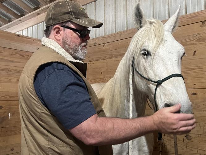 Veteran's Club using horses to heal through trauma
