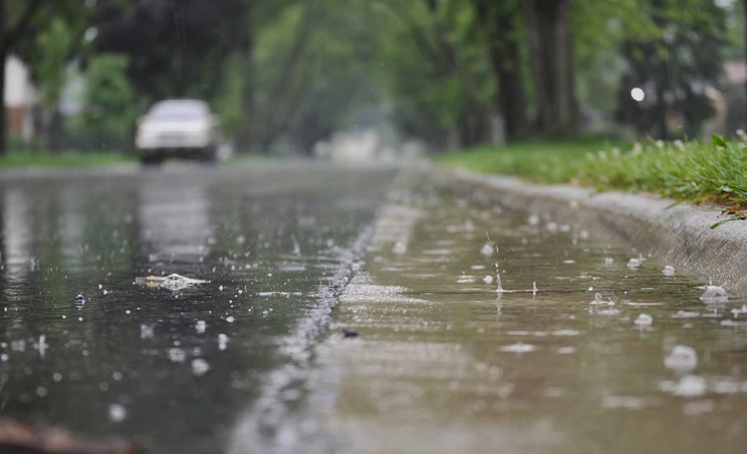 rain car.PNG