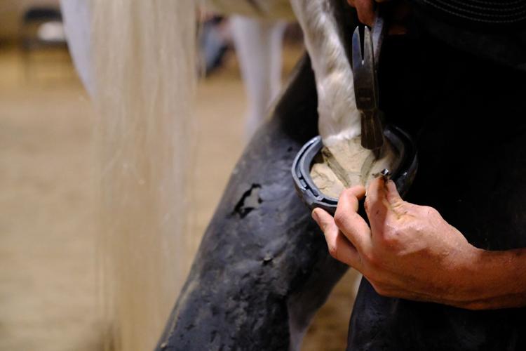 Derby City Classic Horseshoeing competition - 9.14.24