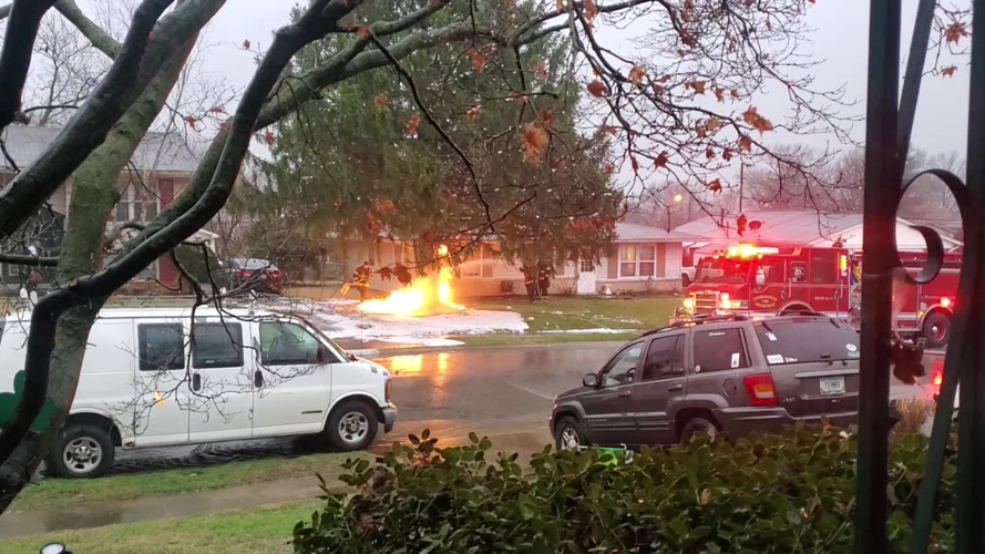 Northhaven Tree Fire