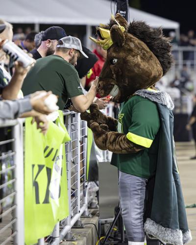 LOUISVILLE ORLANDO UFL-18.jpg