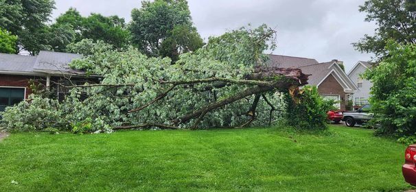 Charlestown Indiana storm damage.jpg