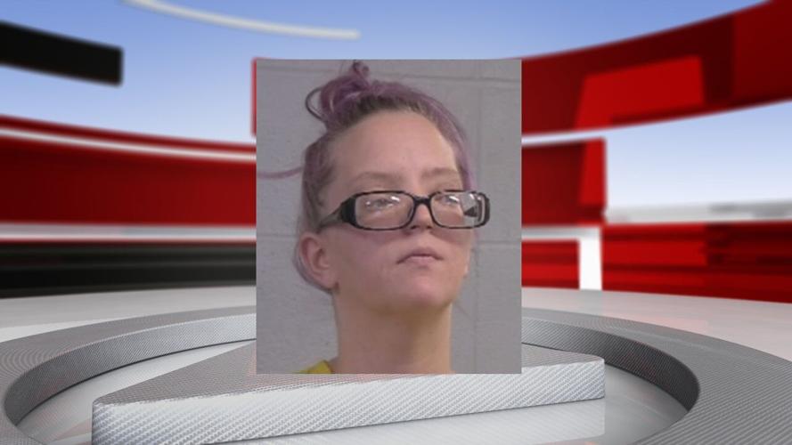 Melissa Wines mugshot.jpg