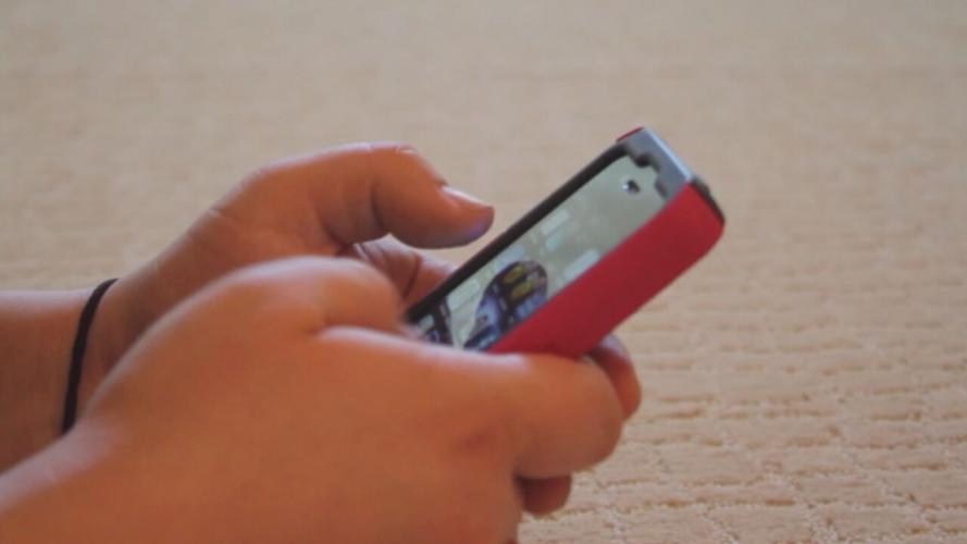 Person holding cell phone