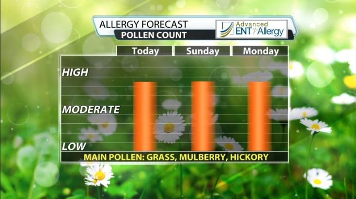 pollen.png