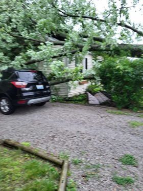Car on tree in Lyndon.jpg