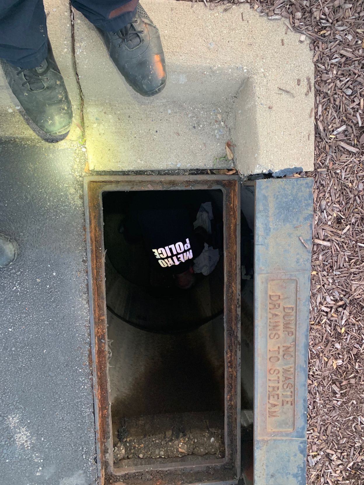 Ducklings rescued by LMPD (June 2019)