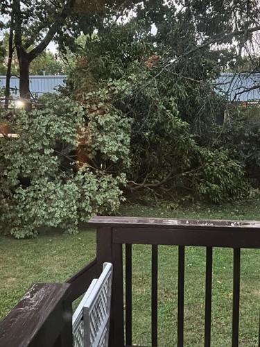 Jimmy McDowell - Lyndon storm damage - Aug. 25, 2023.jpg