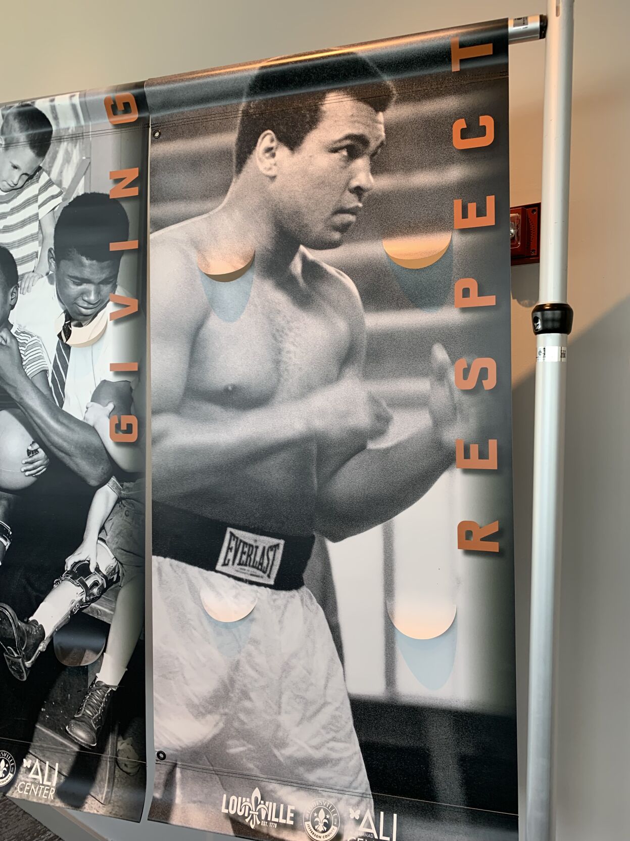 Poster of Muhammad Ali.jpg