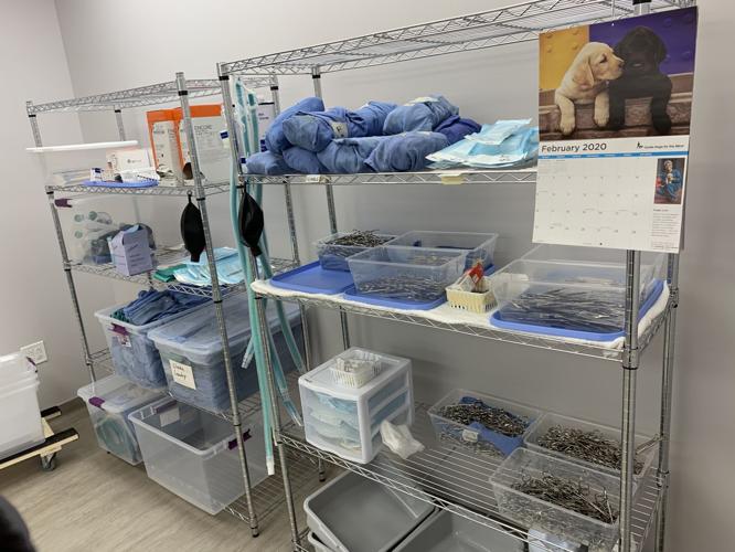 ALLEY CAT ADVOCATES - NEW BUILDING 2-13-2020  (14).jpg