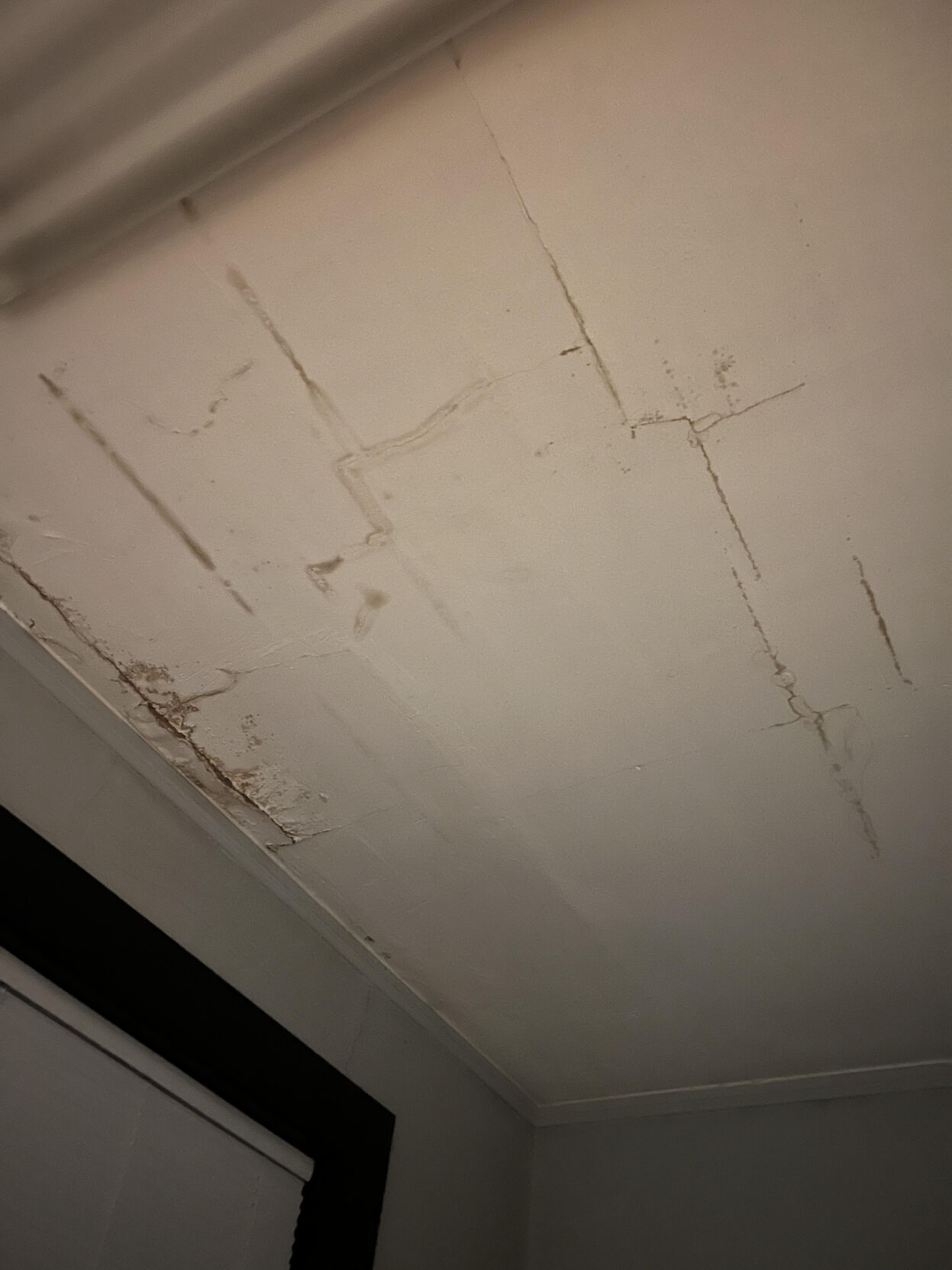 Paint fallinf of ceiling 3 4th district engine 20.jpg