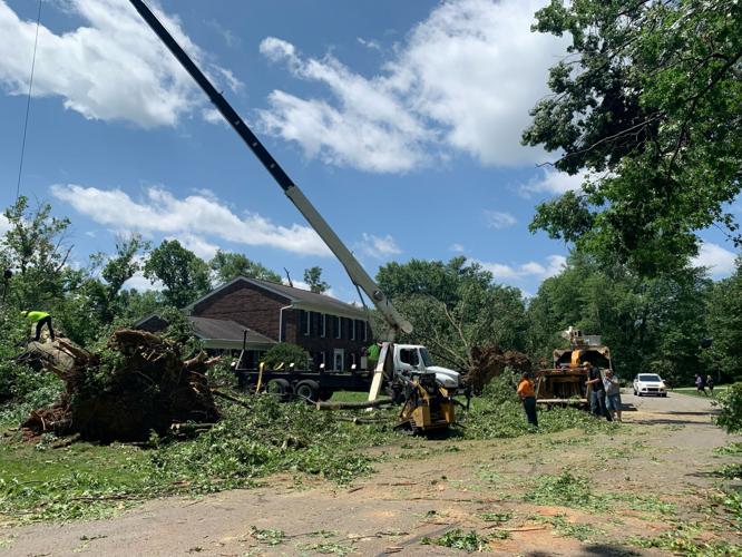 STORM DAMAGE - Brownsboro Vista Drive & Murray Hill Pike - 6-26-2023 4.jpg