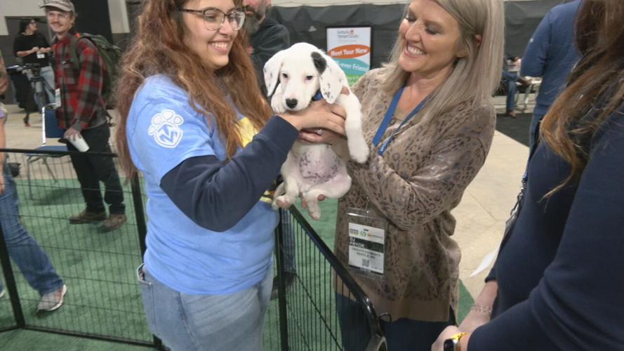 Mulligan's Mutt Madness adoption event 10-19-23