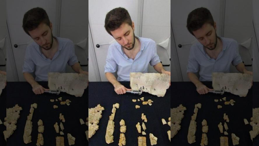 Sea Monster Dig Poland 10-31-19 Fox.jpg