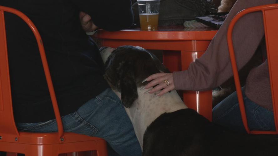 PGJ DOG PARK BAR 3RD BDAY.jpeg