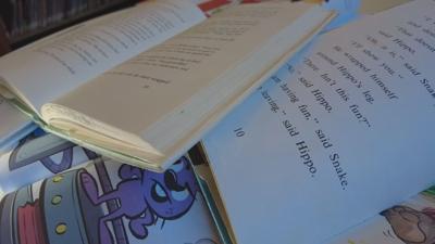 Kentucky lawmaker wants greater scrutiny for reading intervention program