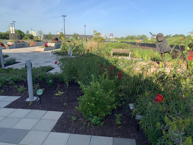 WATERFRONT BOTANICAL GARDENS - KEITH KAISER - 8-17-2020  (2).JPG